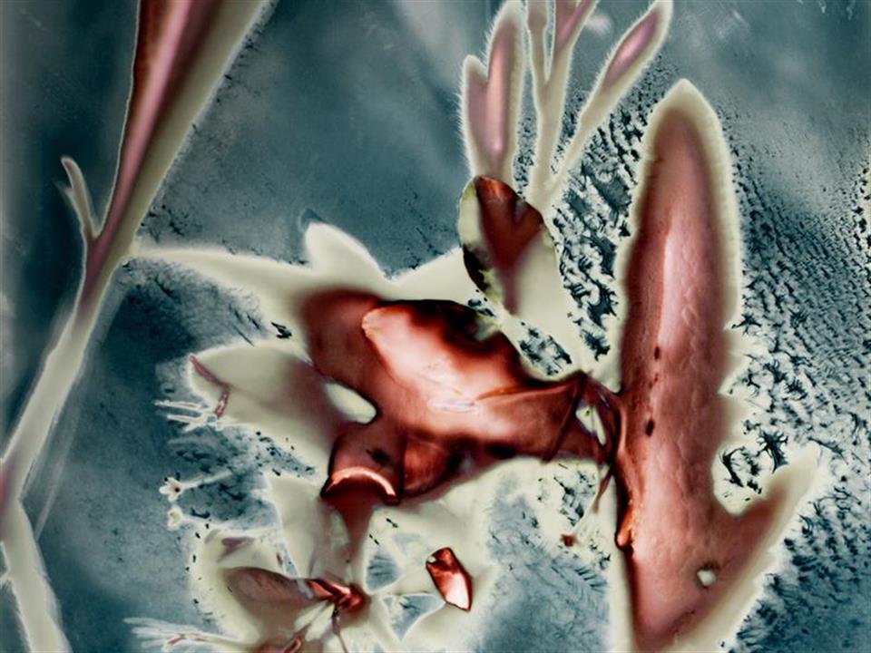 /Portals/39/NADevEventsImages/Chemilumen3 detail_480.jpg